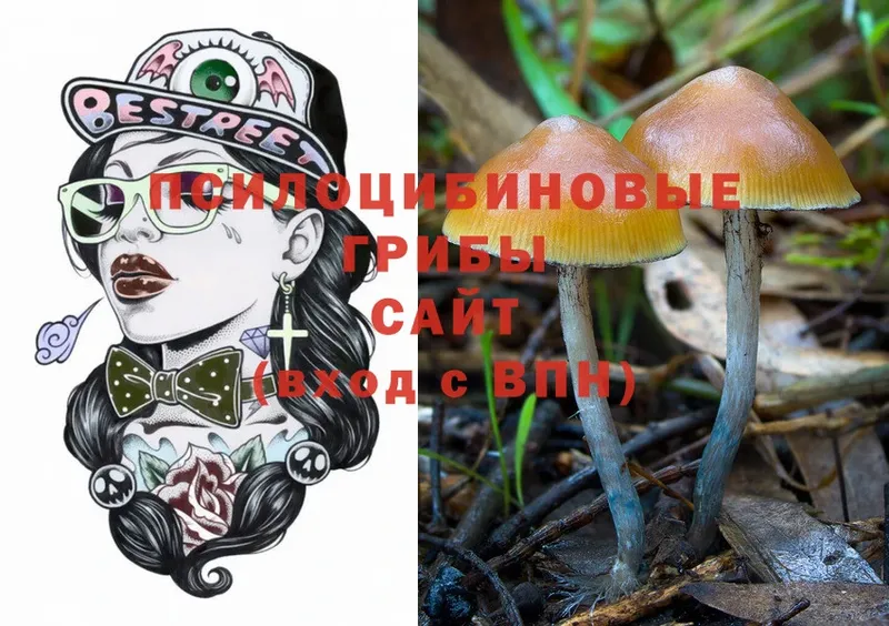 Галлюциногенные грибы Cubensis  Калязин 